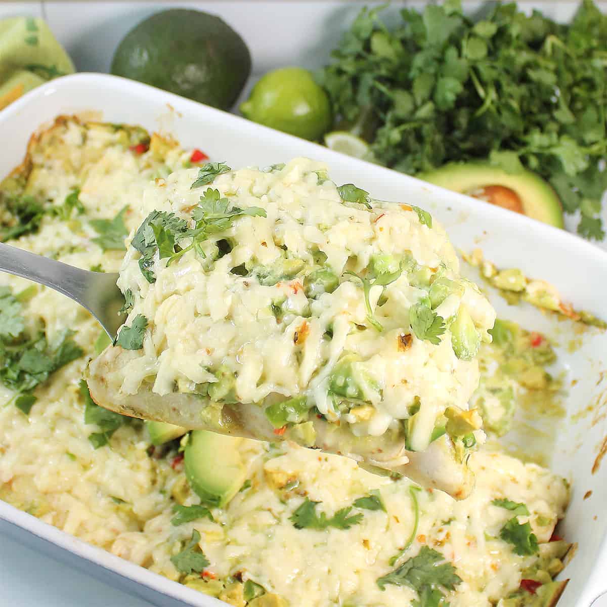 Lifting two white chicken enchiladas with avocado cream sauce from casserole dish.