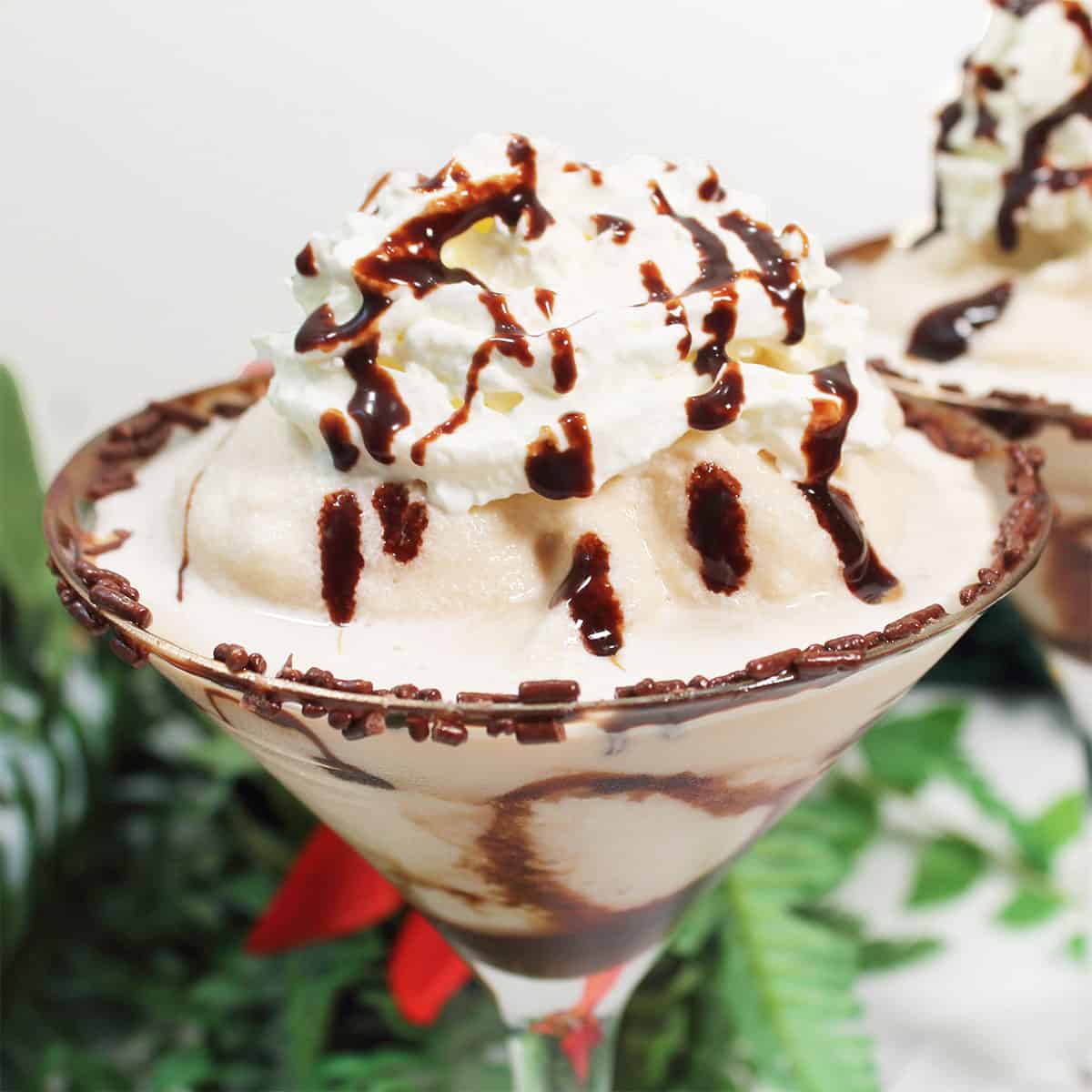 Closeup of whipped cream and garnished rim.