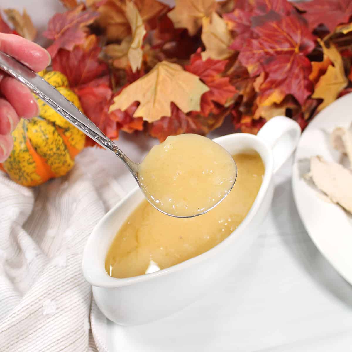 Ladleful of gravy over gravy boat.