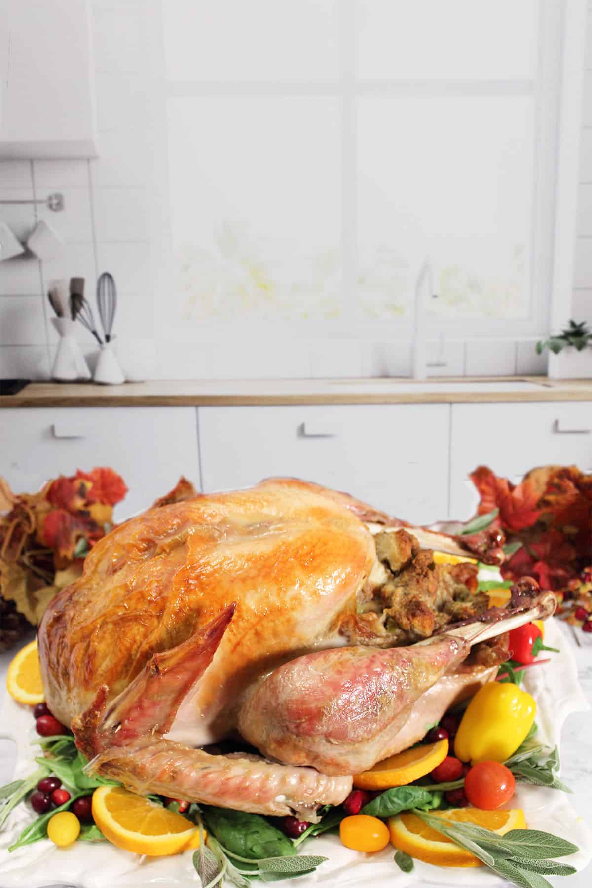 Dressed turkey in front of kitchen window,