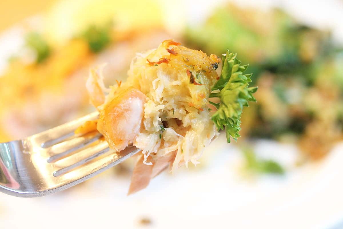 Bite of salmon above white dinner plate.