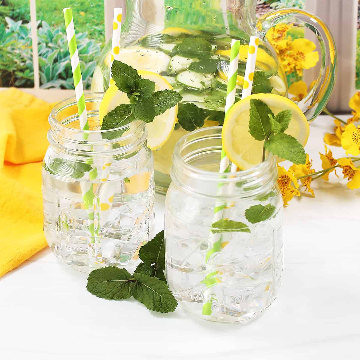 Cucumber Lemon Water with mint in mason jars.