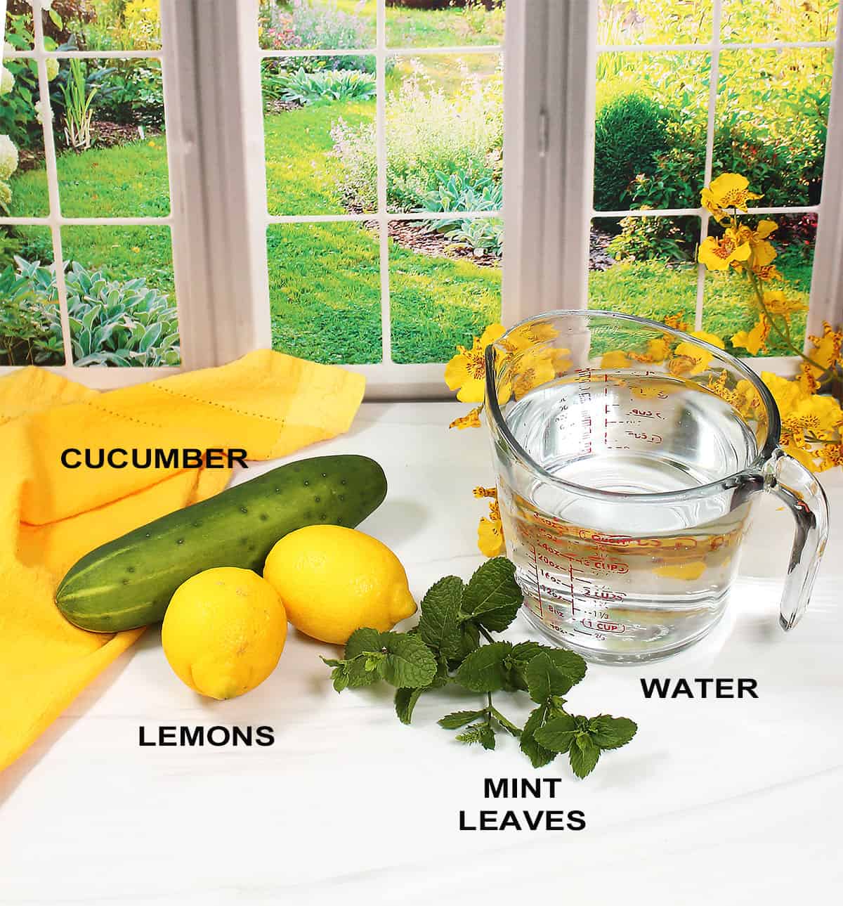 Lemon water with cucumber ingredients.