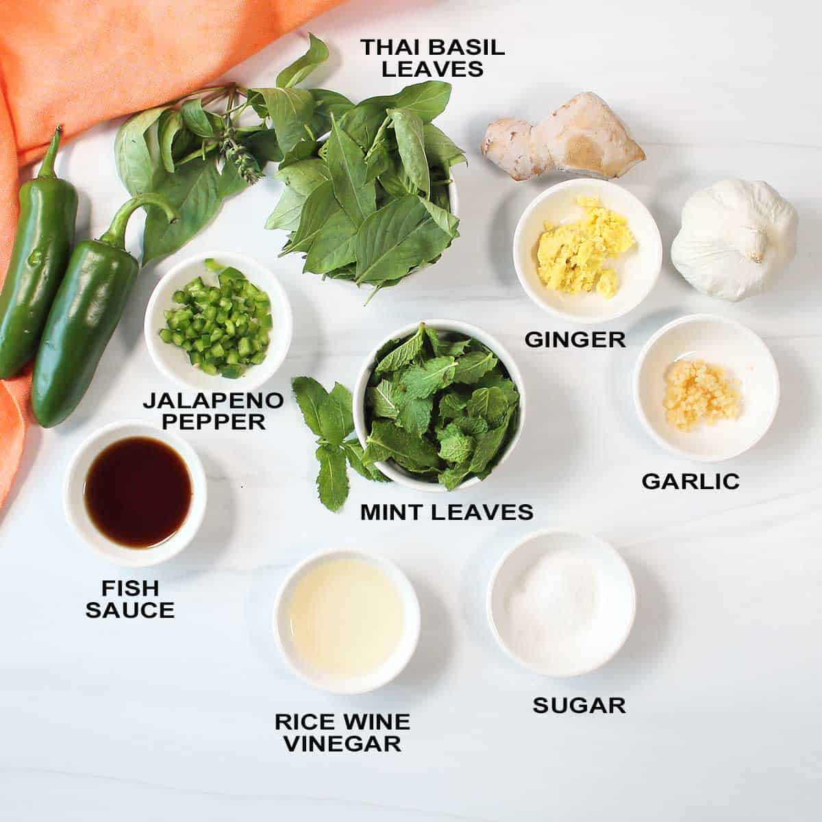 Ingredients for basil sauce.