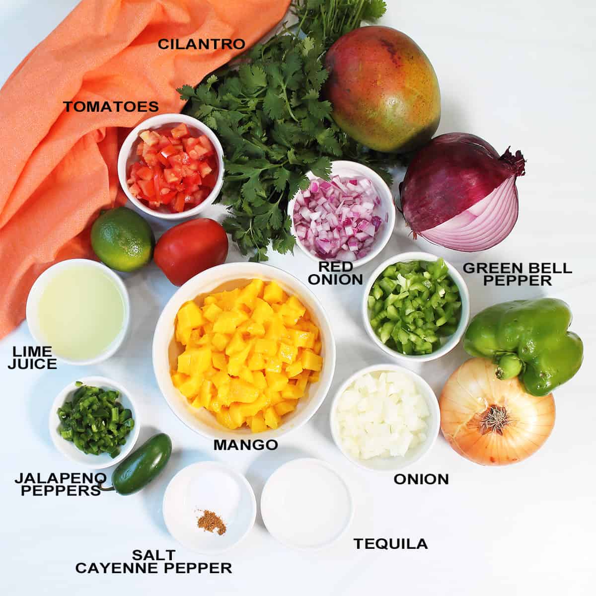 Ingredients for Mango Salsa.