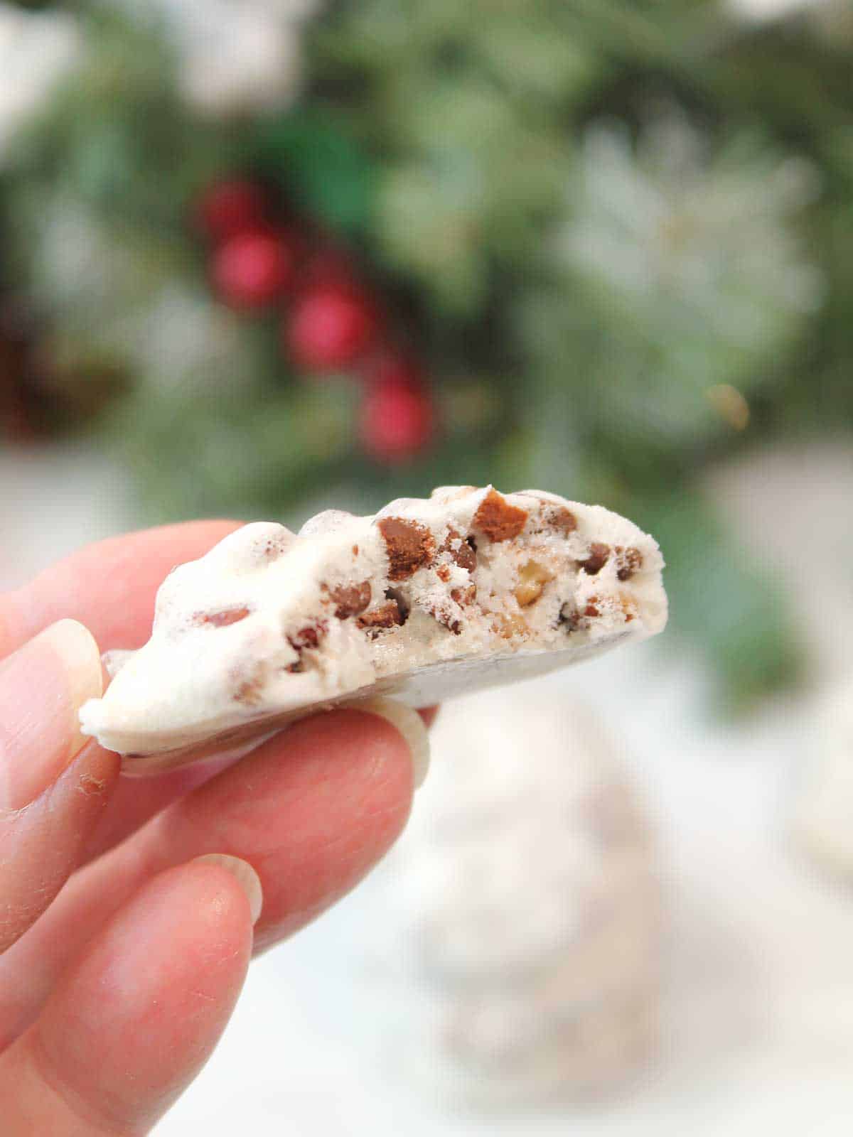 Holding cookie showing light and crisp inside.