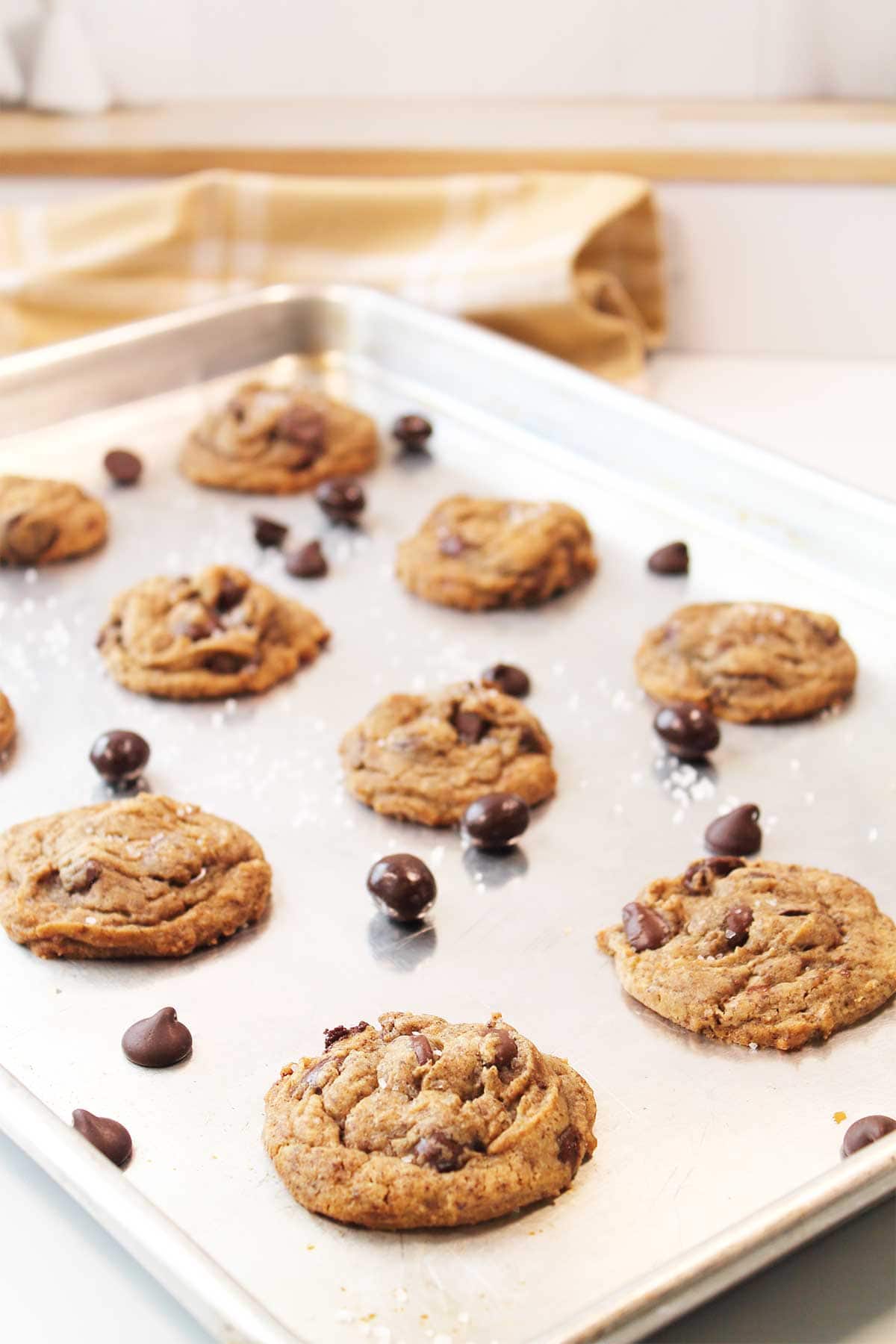 Baked cookies on cookie sheet.