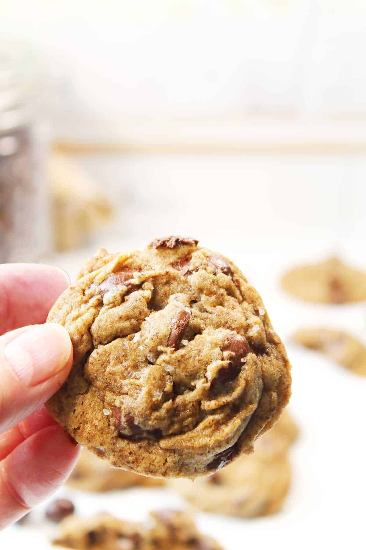 Closeup holding a cookie.