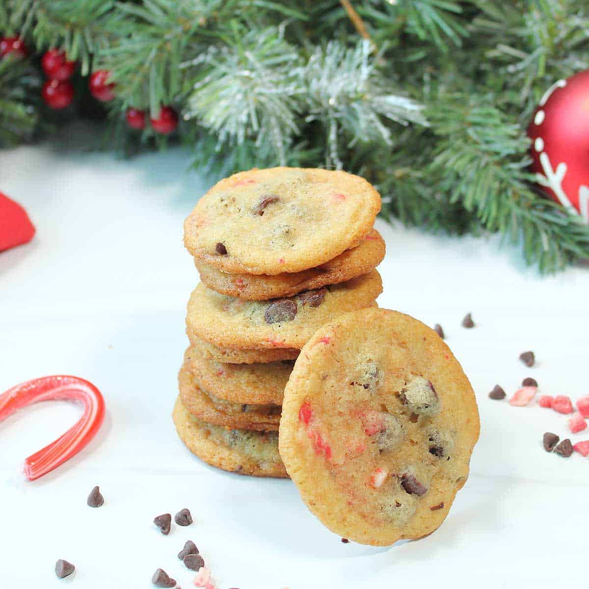 Closeup stack of cookies.