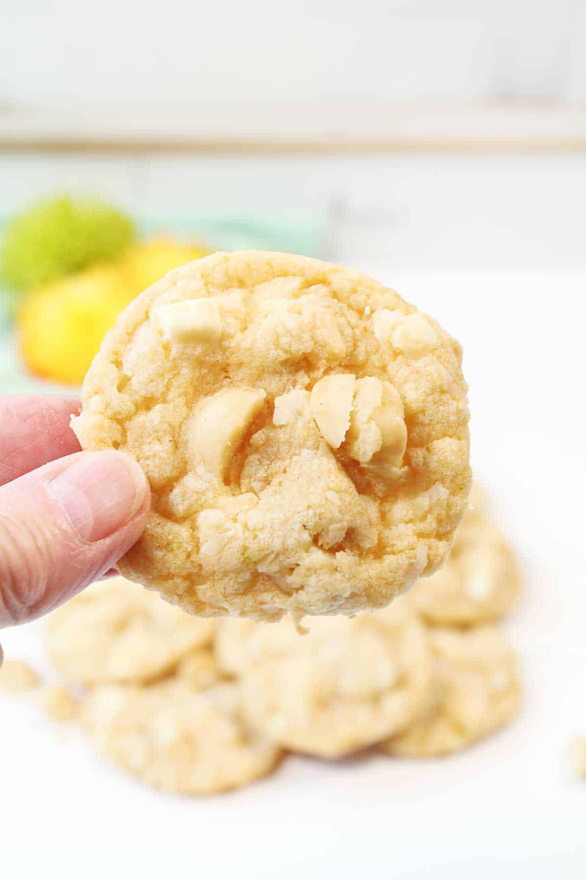 Holding white chocolate chip cookie over counter.