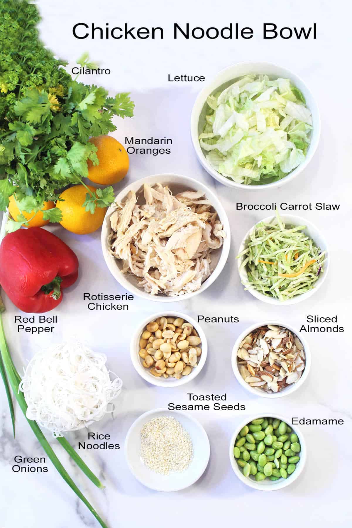 Chicken Noodle Bowl ingredients on white table.