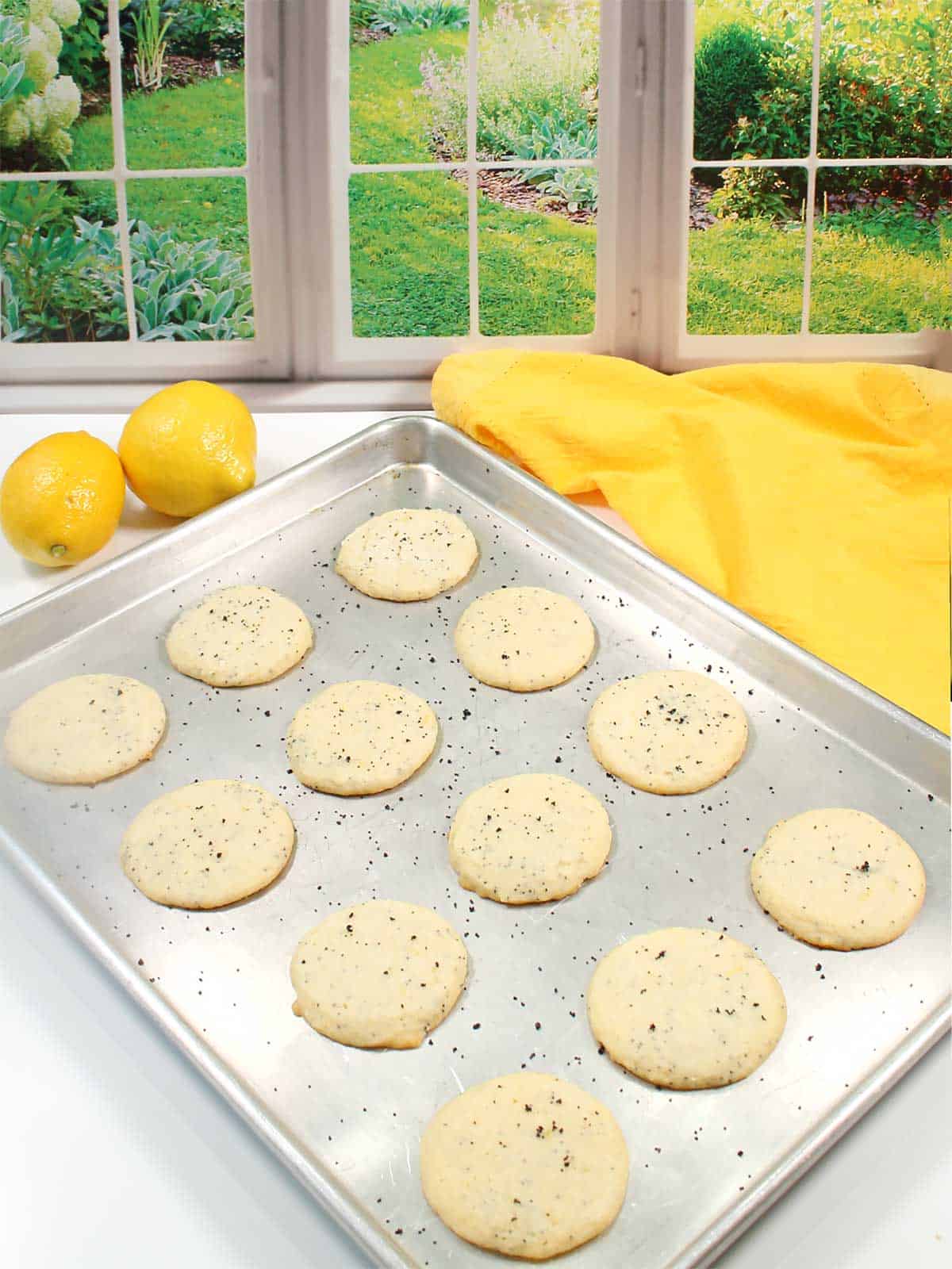 Baked cookies on cookie sheet.