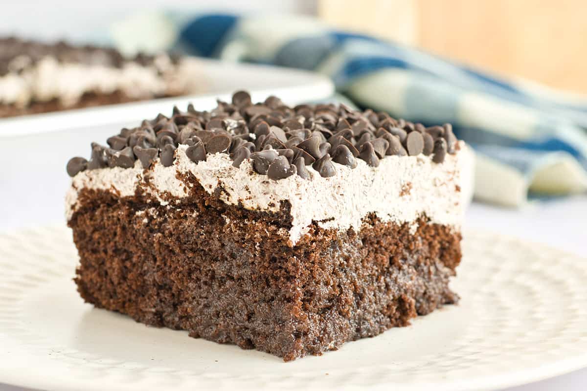 Extreme closeup of slice on plate.