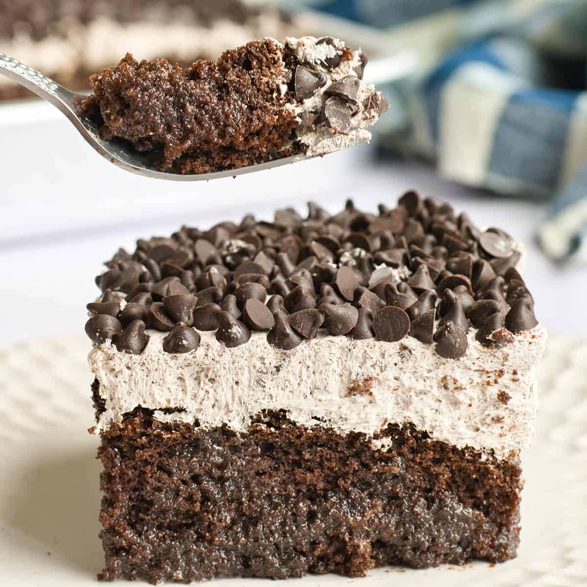 Taking a bite out of cake.