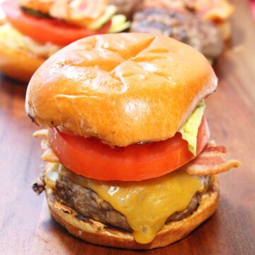 Single buffalo hamburger with all the trimmings.
