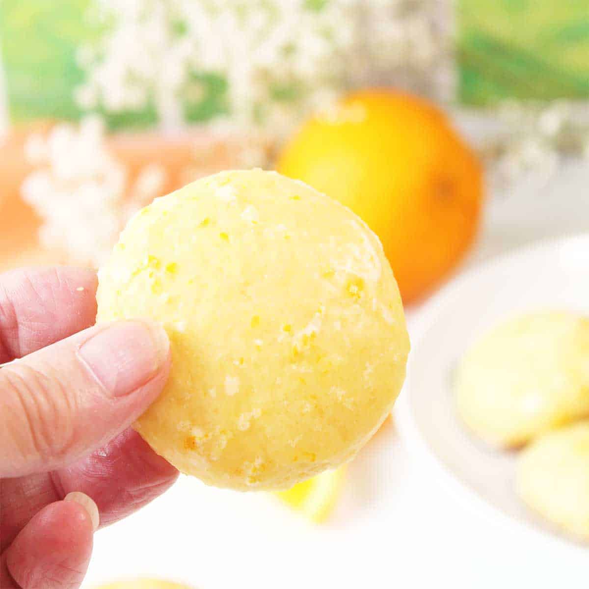 Holding a cookie to show glaze.