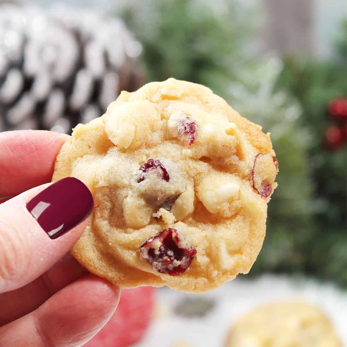 Holding cookie in front of greenery.