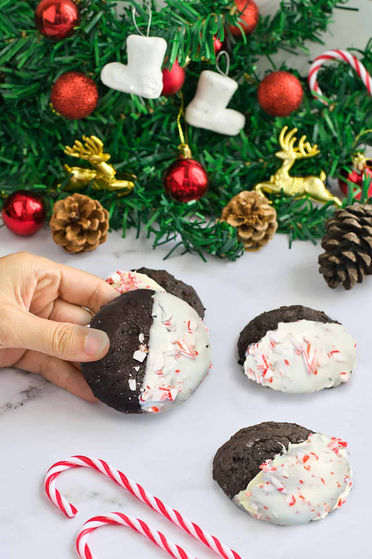 Holding a chocolate mint cookie.