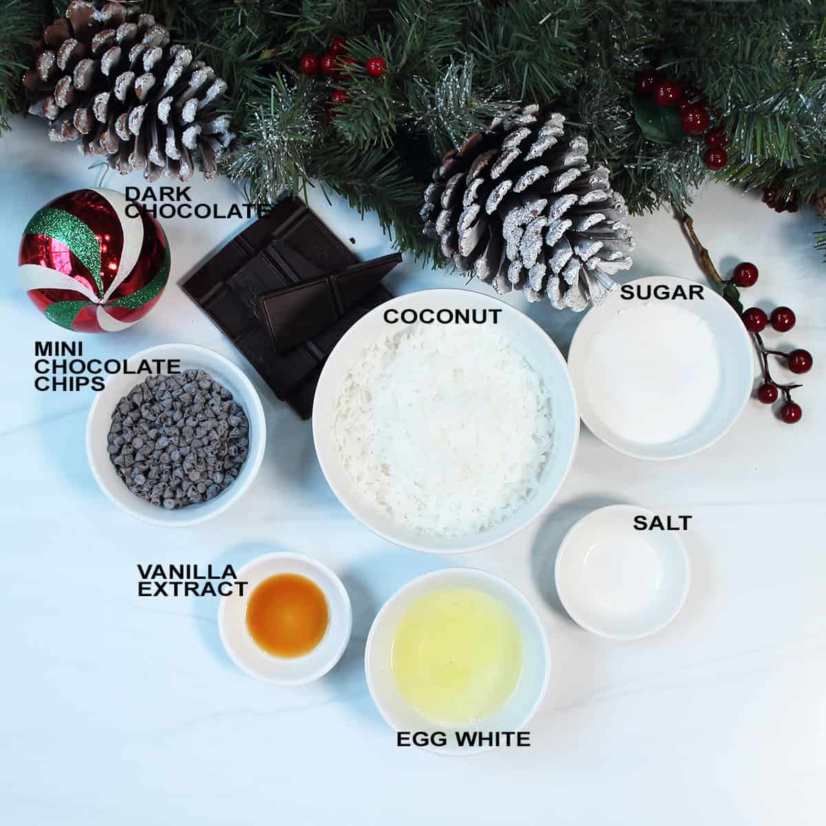 Ingredients for coconut chocolate chip macroons.