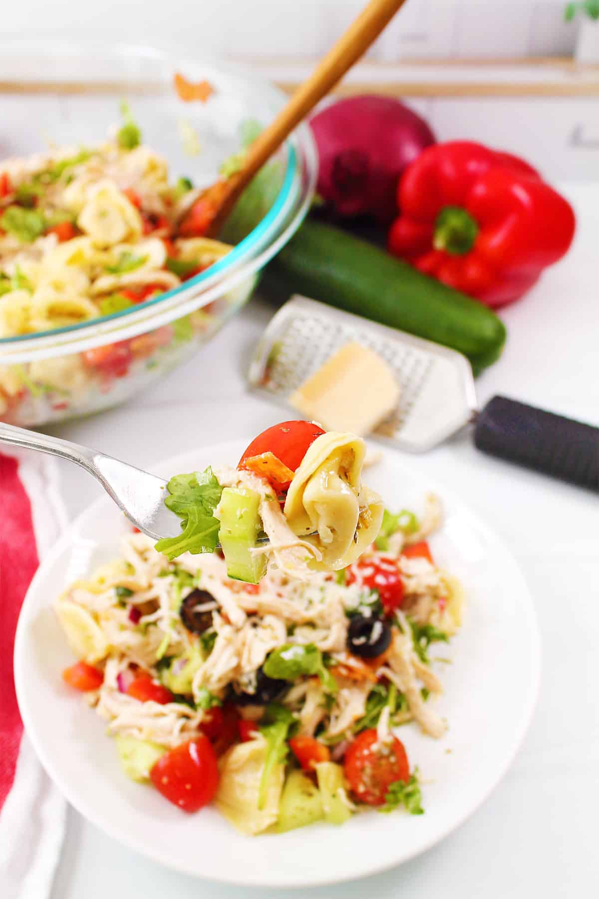 Bite of pasta salad with cheese tortellini.