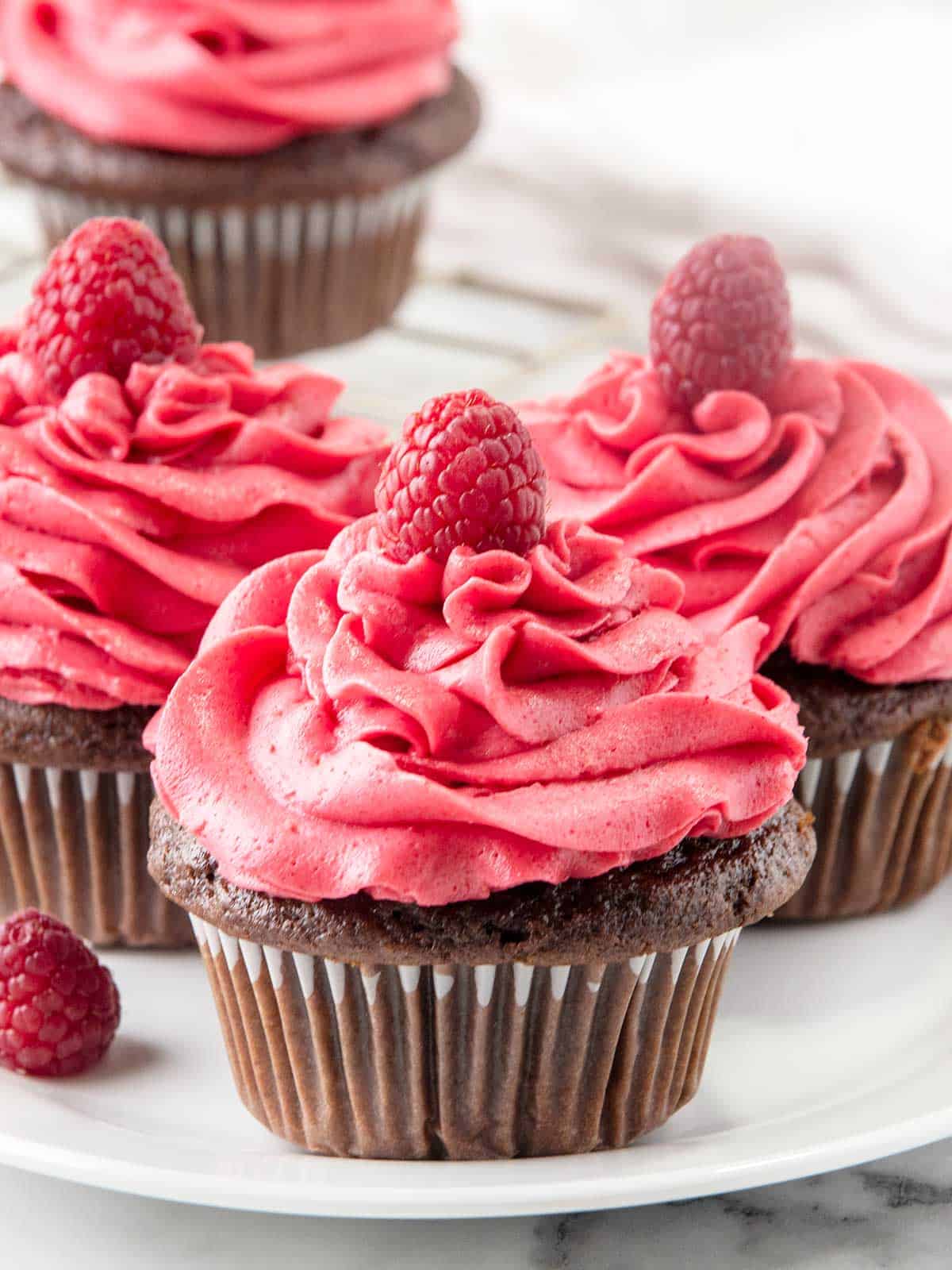 Plated frosted chocolate cupcakes with raspberry frosting.