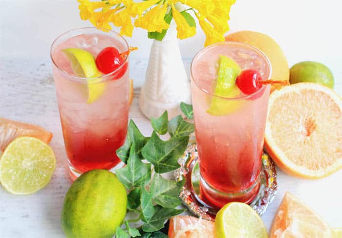 Sea Breeze Cocktail 6 | 2 Cookin Mamas