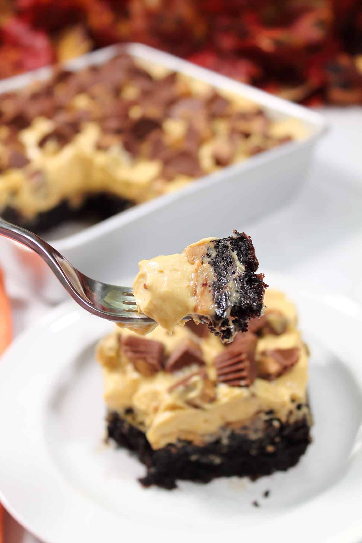 Bite on fork over plated brownie.