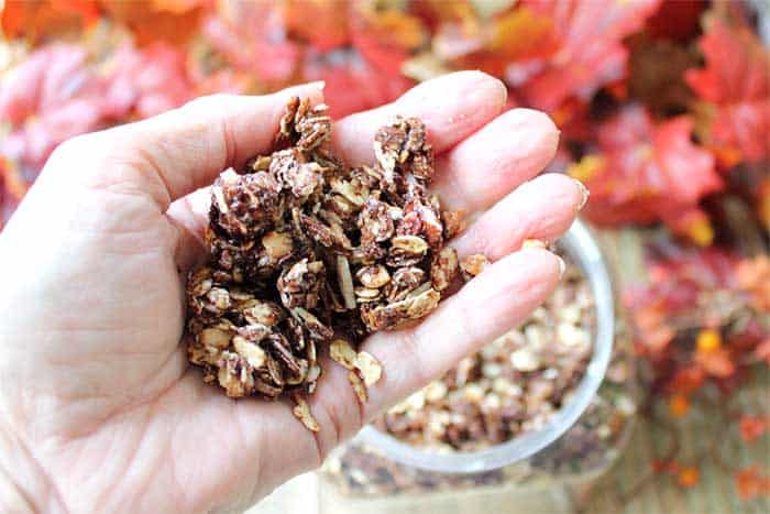 Chocolate Granola handful | 2 Cookin Mamas