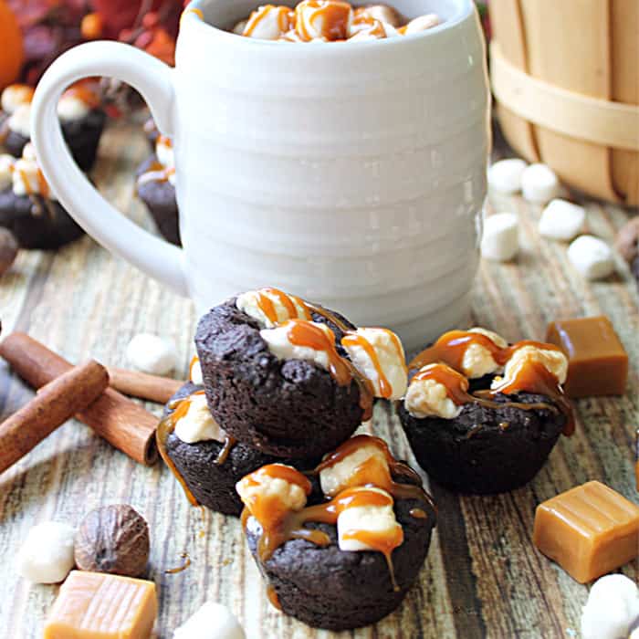 Kahlua Hot Chocolate Cookies square 1 | 2 Cookin Mamas