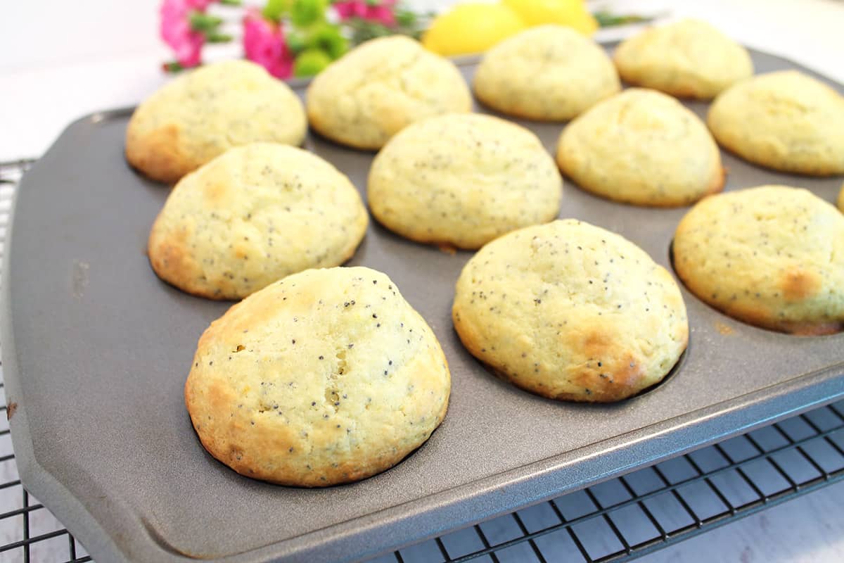 Baked muffins in muffin tin.