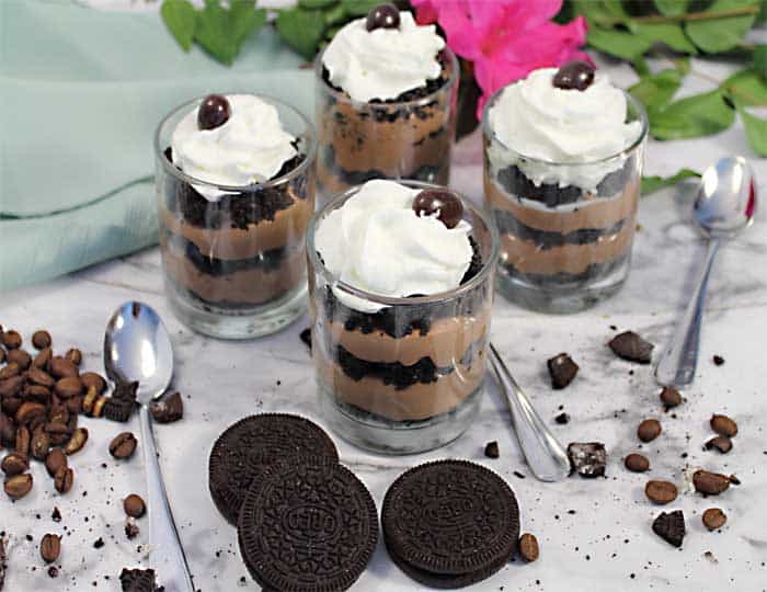 No Bake Mocha Cheesecake Mini Indulgences 4 | 2 Cookin Mamas