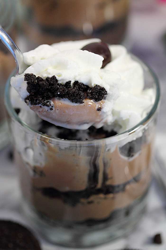 No Bake Mocha Cheesecake Mini Indulgences bite | 2 Cookin Mamas
