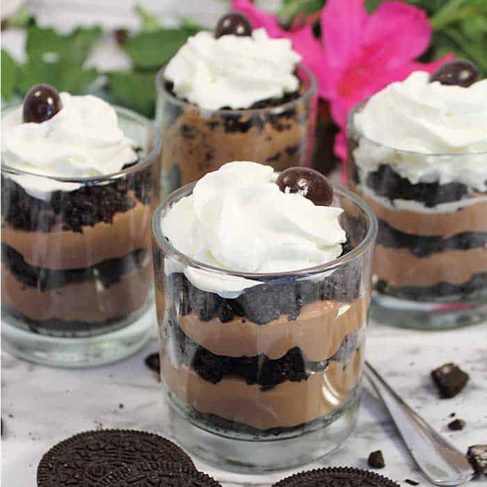 No Bake Mocha Cheesecake Mini Indulgences square 2 | 2 Cookin Mamas