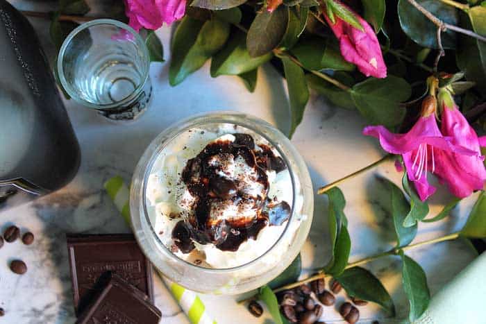 Patron Hummer Cocktail overhead 2 - The Adult Milkshake | 2 Cookin Mamas