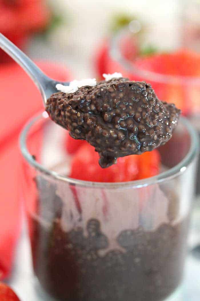 Chocolate Chia Seed Pudding bite | 2 Cookin Mamas