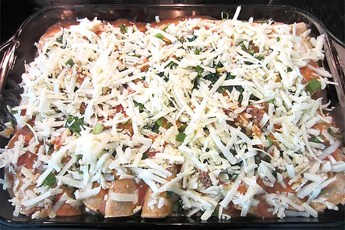 Stuffed enchiladas in dish covered with cheese and ready to bake.