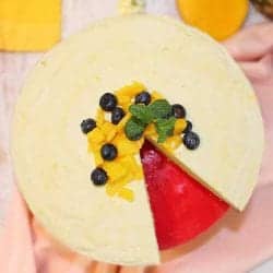 Mango Pineapple Icebox Cheesecake square 2