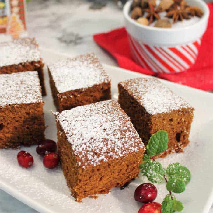 Homemade Spicy Gingerbread plated closeup square