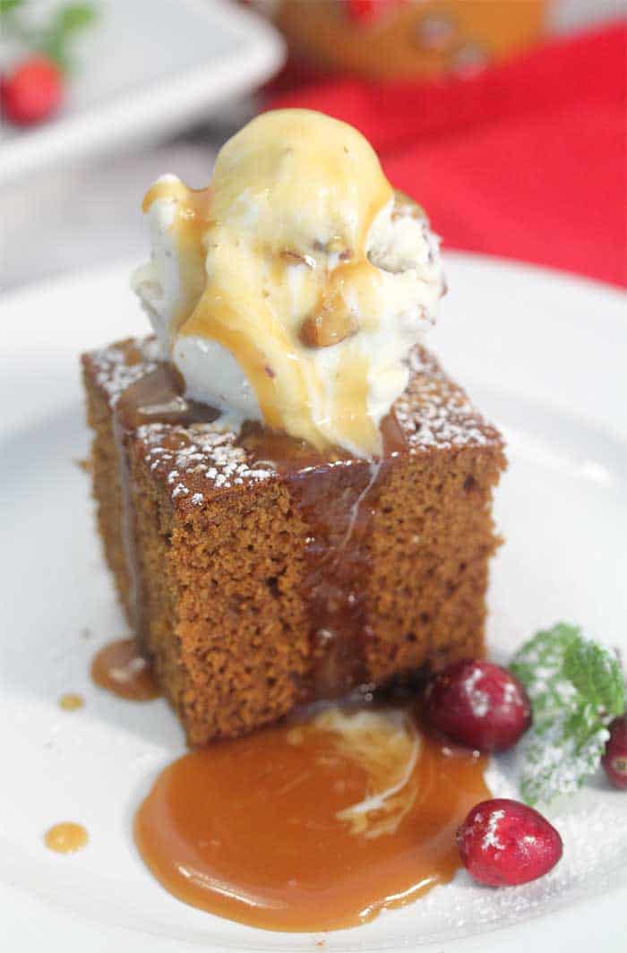 Homemade Spicy Gingerbread single with ice cream closeup