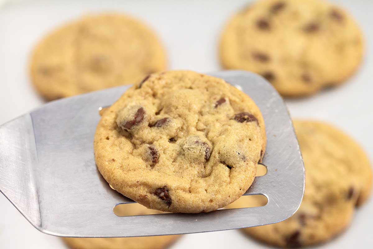 Baked chocolate chip cookie on spatula.