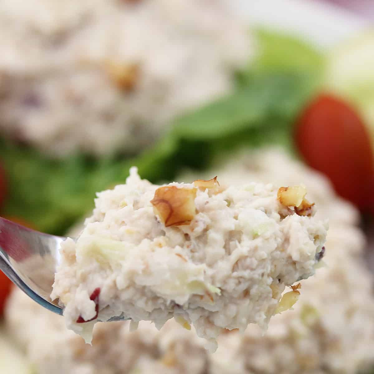 Forkful of rotisserie chicken salad with grapes.