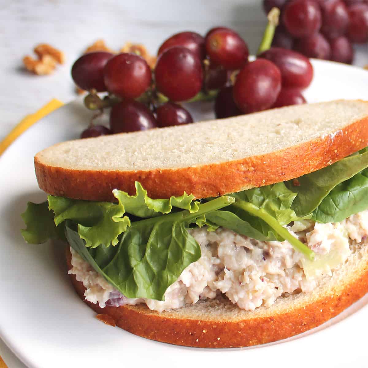 Chicken Salad sandwich with grapes on white plate.