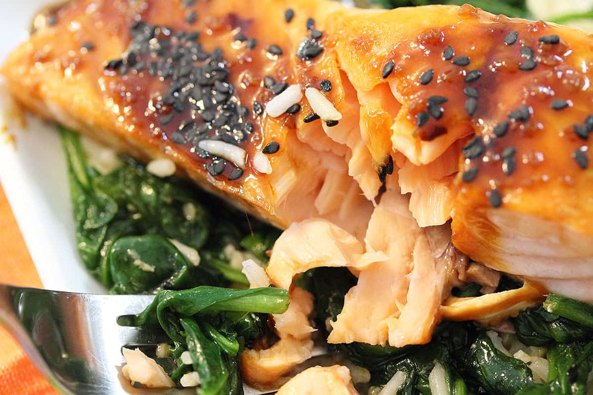 Showing flakiness of maple glazed salmon.