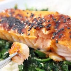 Closeup of bite of salmon on fork.