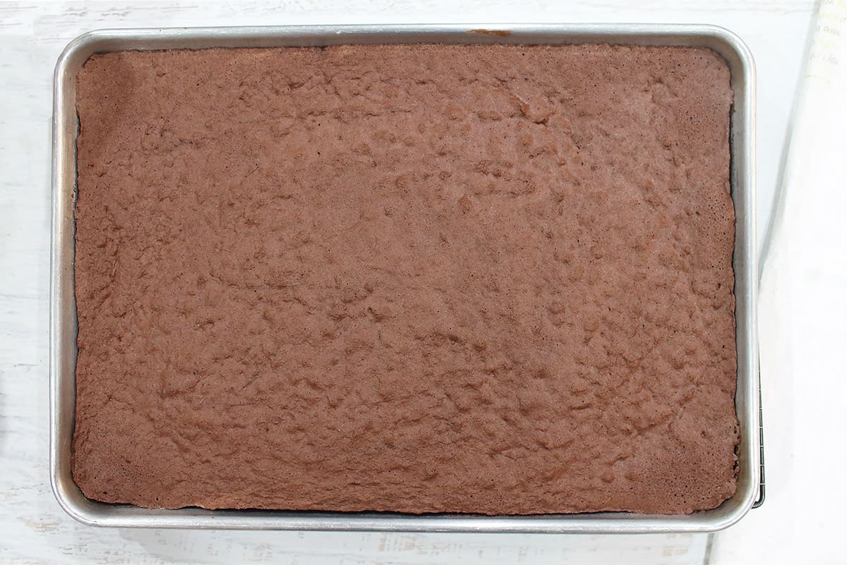 Baked swiss roll cake in pan.
