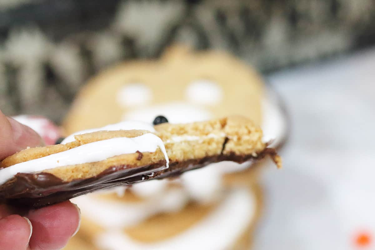 Closeup bite of cookie.