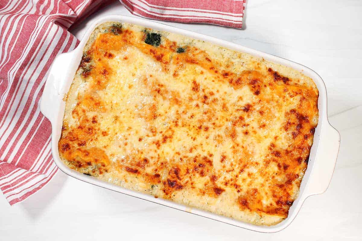 Baked white chicken lasagna.