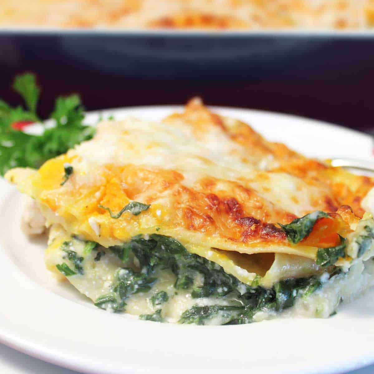 Closeup of slice of creamy chicken lasagna with white sauce.