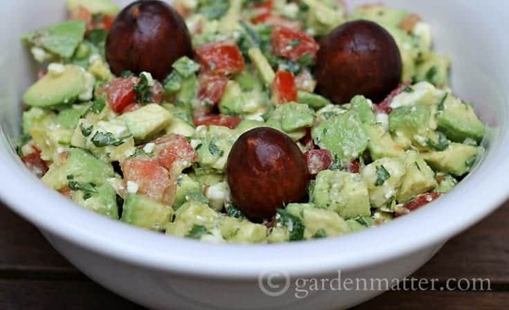 Image for Fancy Guacamole All Dressed Up to Party
