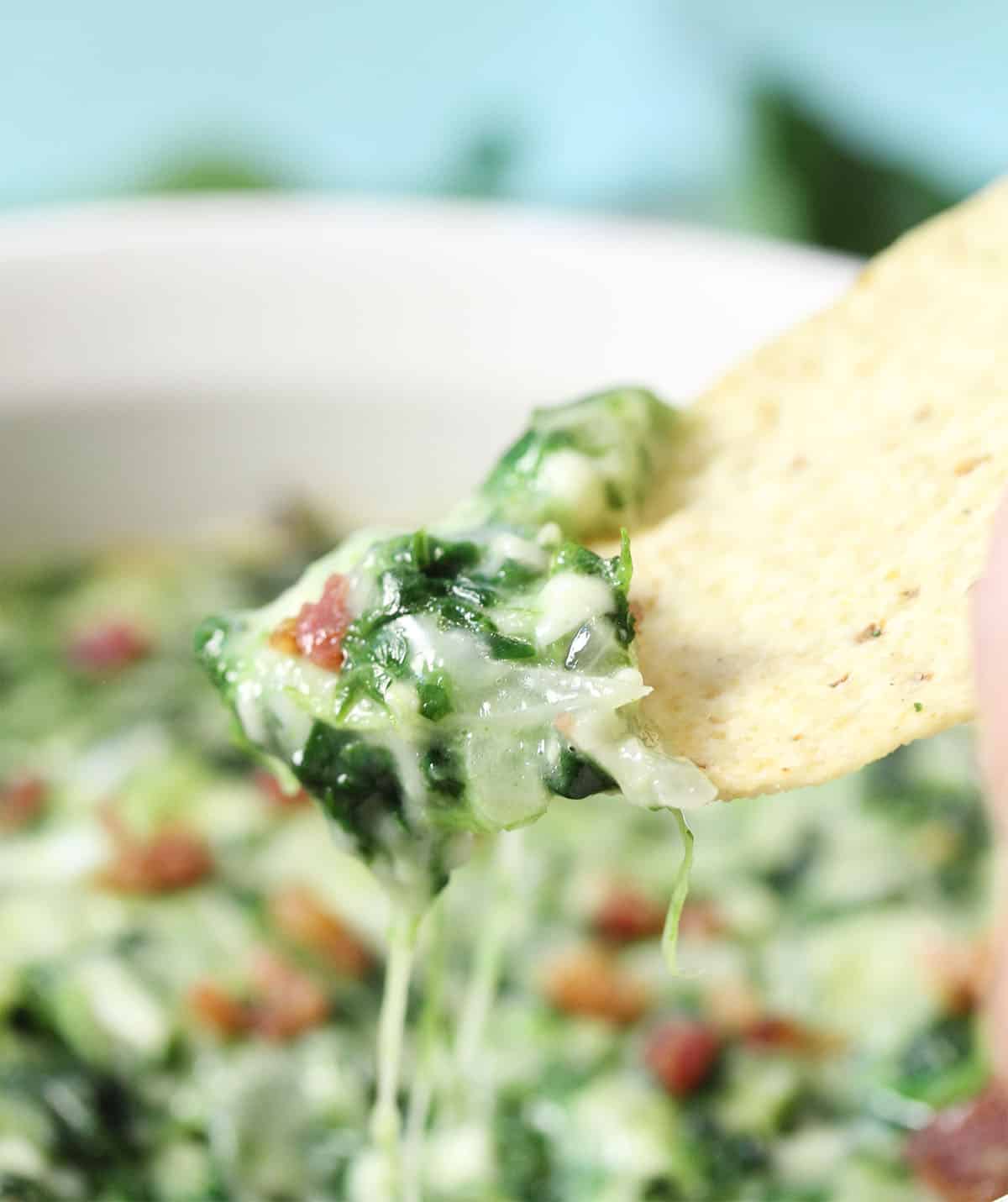 Closeup of scoop of spinach dip on tortilla chip.